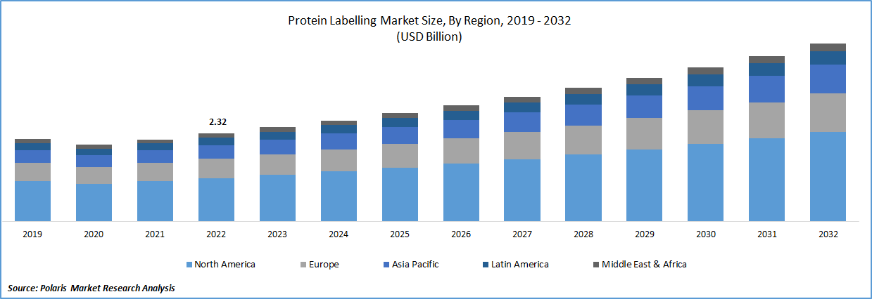 Protein Labelling Market Size